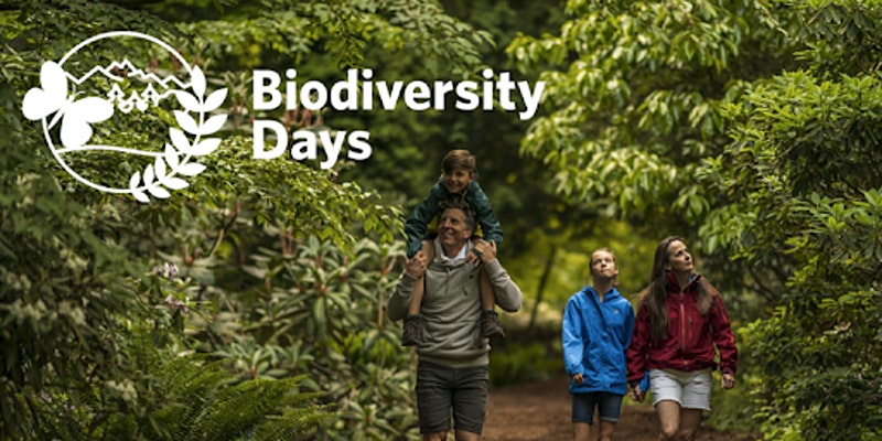 Biodiversity Days: Family Nature Walk